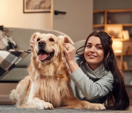 Köpeklerin Kendi Yaşam Alanları: Mutluluklarına Etkisi